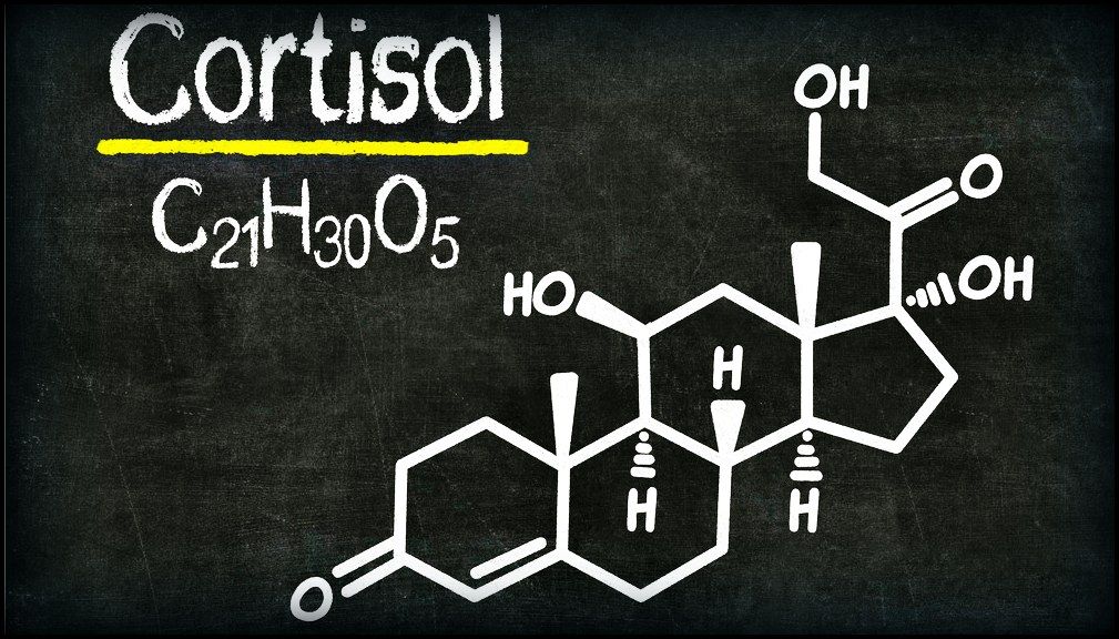 f5e44c2cf48f1937097aa8f9bd995570.jpg что такое кортизол?
