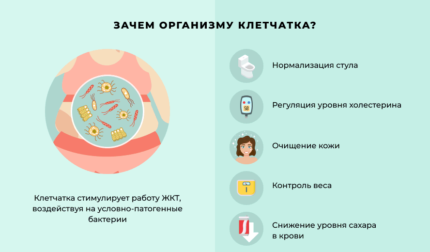 Польза клетчатки Польза клетчатки