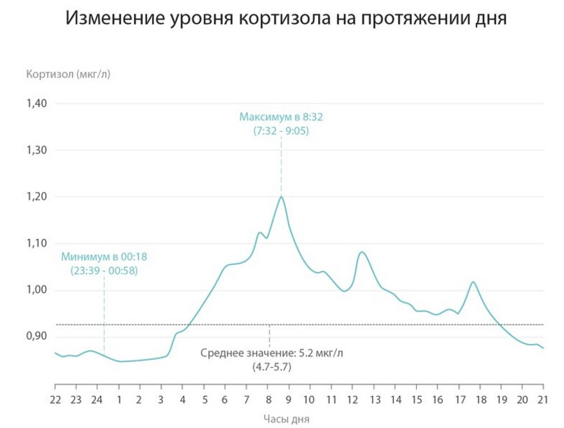 b472f4es-960.jpg График изменения кортизола в течении дня